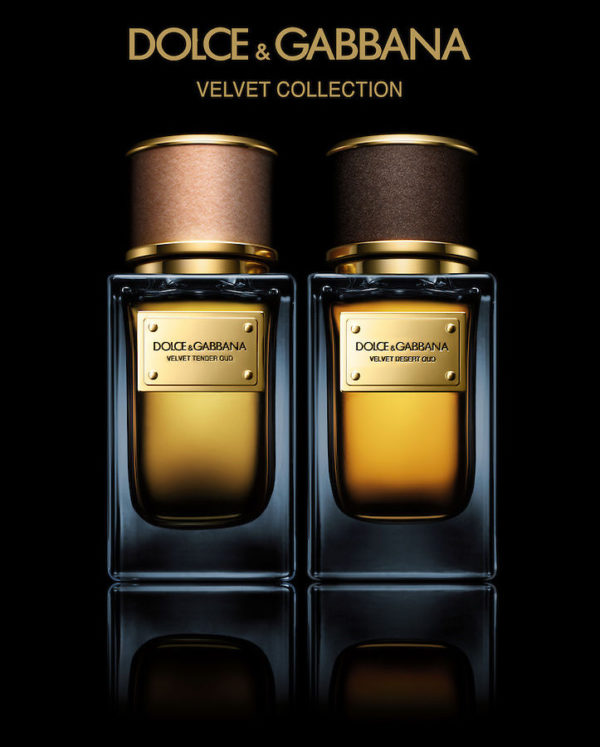 Dolce & Gabbana Velvet Desert Oud for Men & Women - VPerfumes