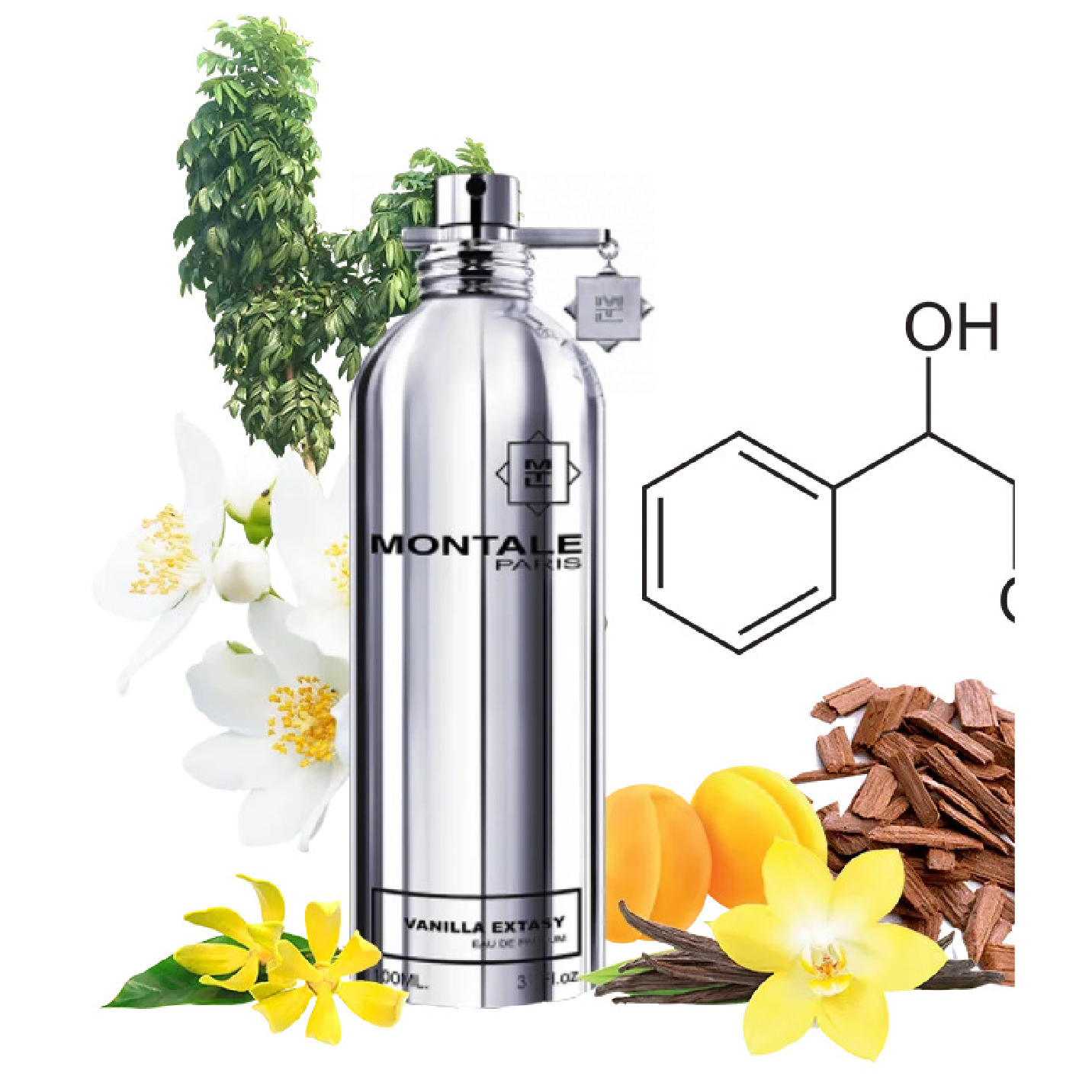 Аналог montale. Монталь духи ваниль. Духи Montale Vanilla Extasy. Montale Vanilla Cake 50 ml. Духи Монталь ванила экстази.