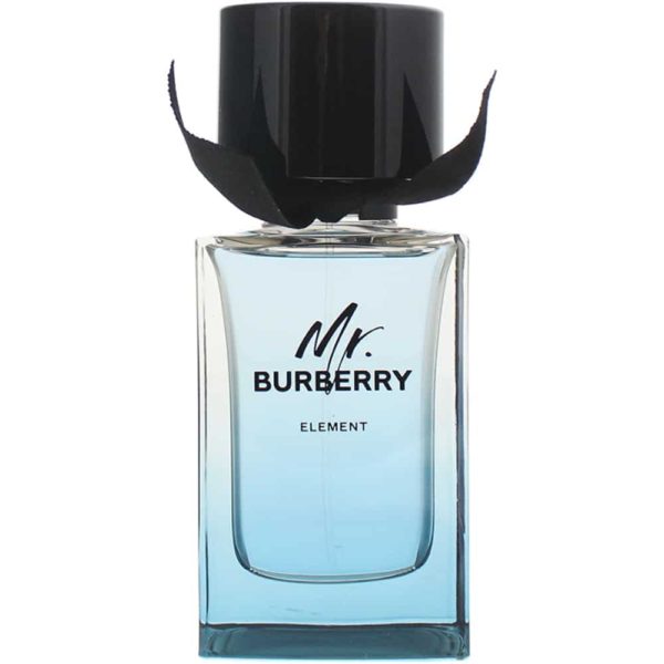 Burberry Mr. Burberry Element for Men