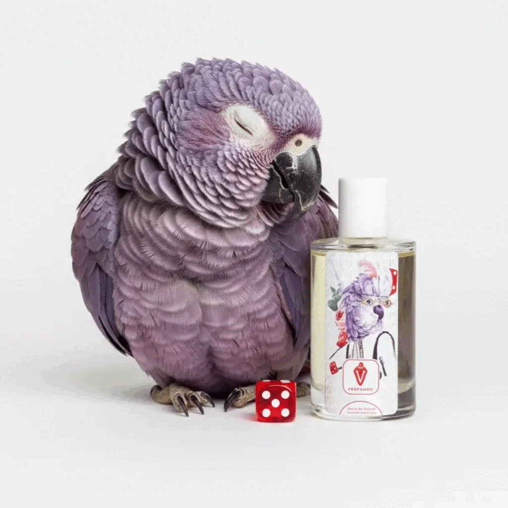 مكونات عطر الصفحة الرئيسية – VPerfumesJO