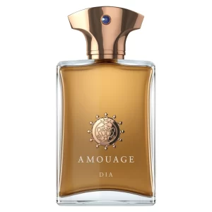 Amouage Dia for Men - امواج ديا للرجال
